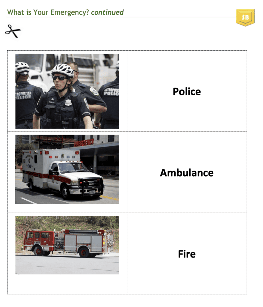 A grid showing three emergency services: top left, police officers; middle left, an ambulance; bottom left, a fire truck. The right side labels them as Police, Ambulance, and Fire.