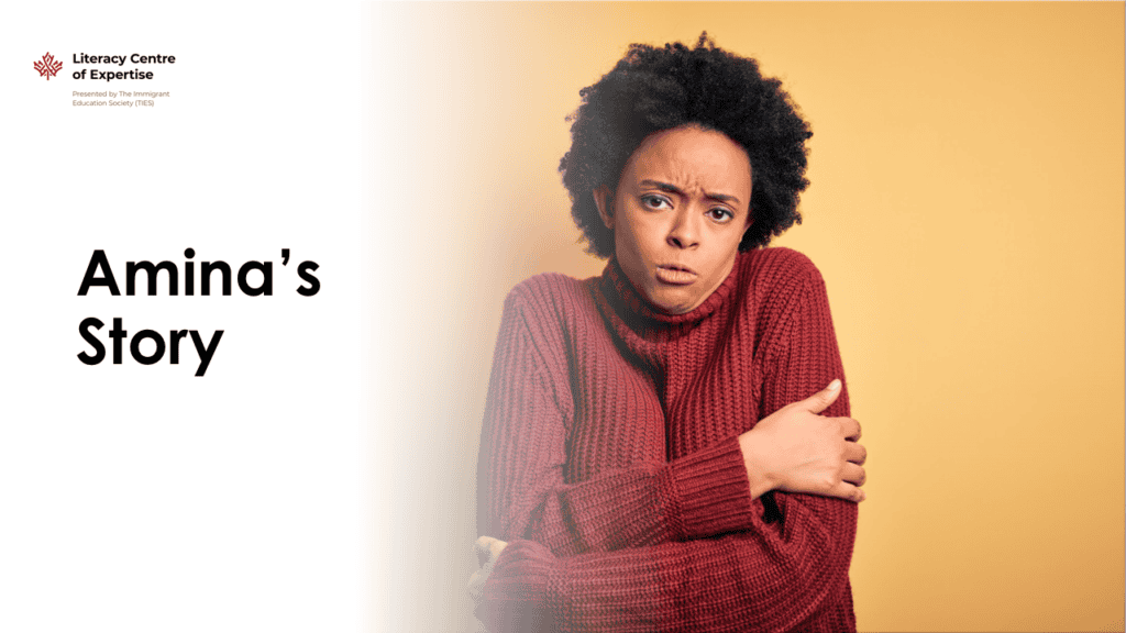 A person with short curly hair wearing a red sweater hugs themselves and looks anxious. On the left, text reads "Amina's Story" with the Literacy Centre of Expertise logo above it. The background is yellow and white.